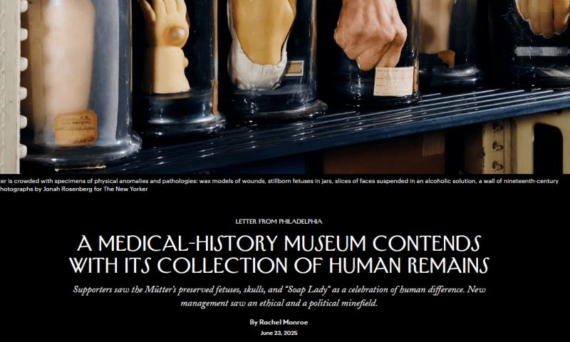 From Edmonton to Philadelphia: What a Syphilitic Brain Taught Me About Museum&nbsp;Ethics